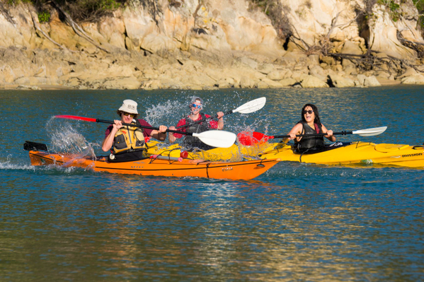 Abel Tasman Kayaking Southern Blend