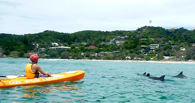 see byron bay dolphins