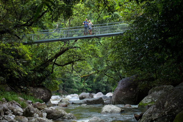 daintree tours from Cairns
