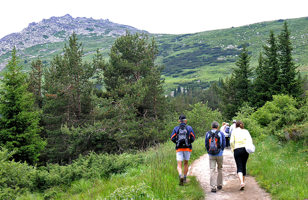 one-day hiking tour from sofia to vitosha mountains 2
