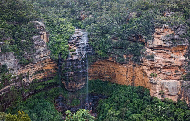 Sydney to Blue Mountains Small Group Wildlife Tour Discount