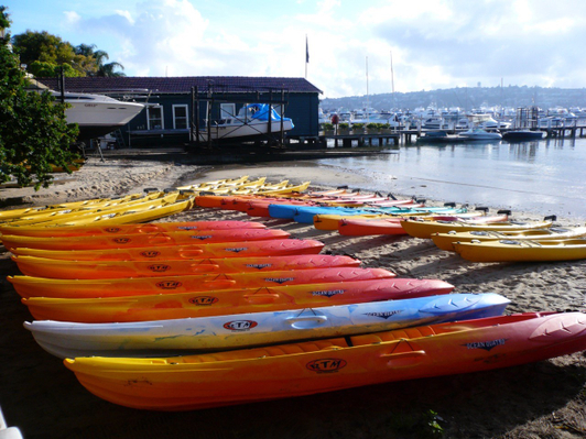 Sydney Harbour Sea Kayak