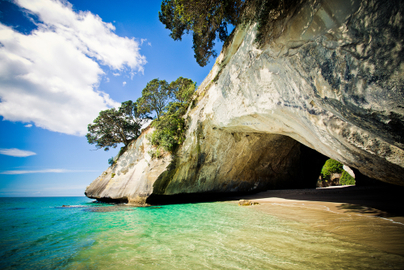 Coromandel Full Day Tour from Auckland