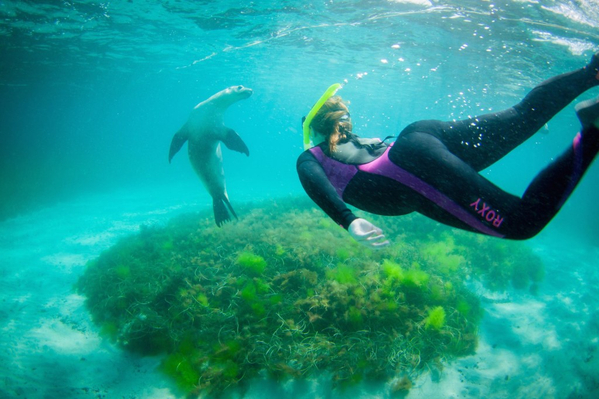 Port Lincoln diving tour Australia