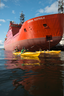 Hobart kayaking tour discount