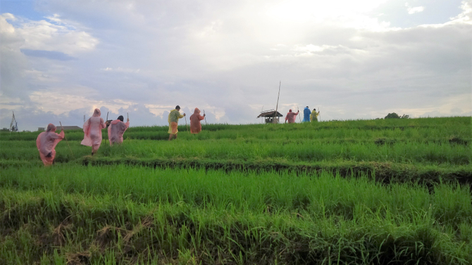 cheap rice field tour bali