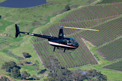Helicopter Picnic Among the Vines
