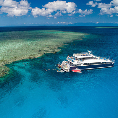 Outer Great Barrier Reef Snorkel Tour