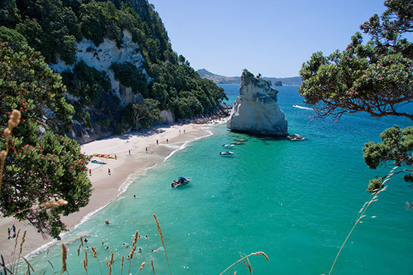 Cathedral Cove Hot Water Beach Tour