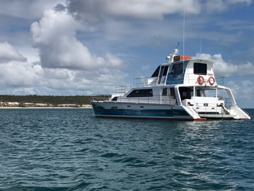 Fraser Western Beaches Discovery Cruise - Hervey Bay