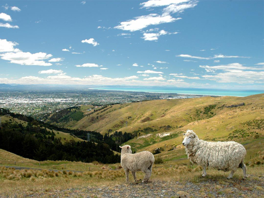 itinerary_lg_4732878_1080x810_Christchurch_New_Zealand_2.jpeg