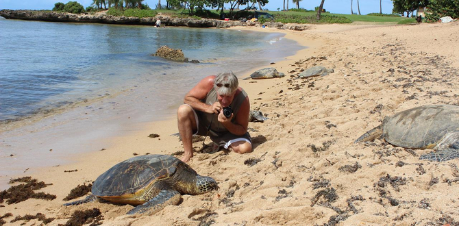 Oahu Turtle Tour