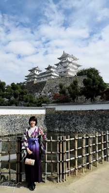World Heritage Himeji Castle tour