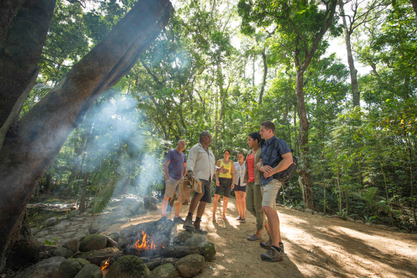 Daintree forest walking tour