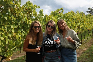 hunter valley food and wine tours