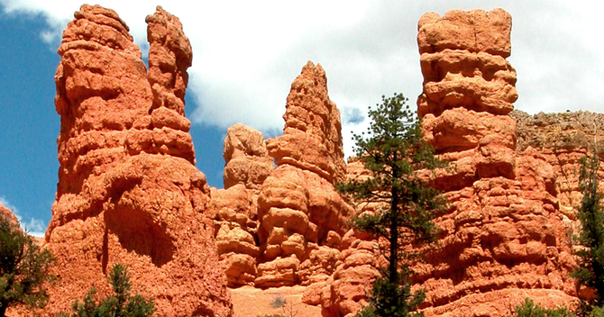 Bryce Canyon & Zion Day Tour From Las Vegas  Deals