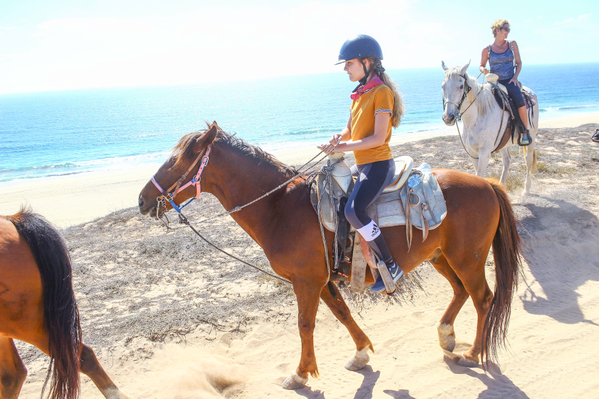 Horse ride on the beach
