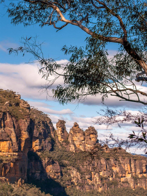 blue mountains day tours from sydney