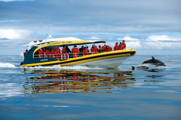 Tasman Island Cruises Full Day Tour from Hobart Discount
