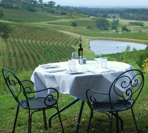 Hunter Valley Helicopter Flight with VIP Lunch