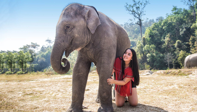 elephant sanctuary thailand tour