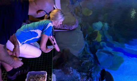 Marine Life Encounter - Cairns Aquarium