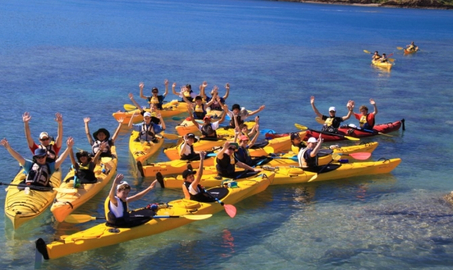 Whitsundays Sea Kayaking Tour - Half Day