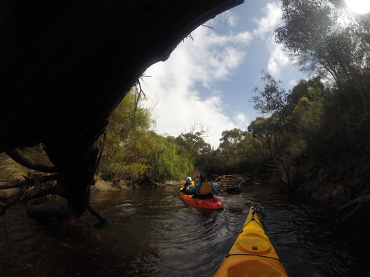 Kangaroo Island Guided Kayak Tour Adventure