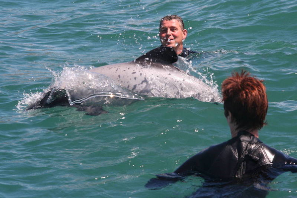deal on akaroa dolphin cruises .JPG