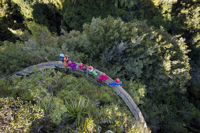 Ultimate Canopy Tour - Rotorua