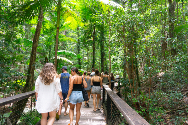 fraser-island-rainforest-tour