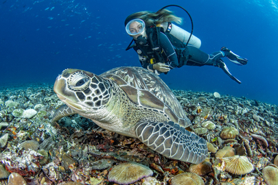 Double Dive Island Adventure - Certified and Uncertified Options