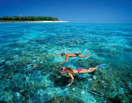 Green Island Reef Cruises Snorkelling Deals