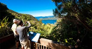 Guided Queen Charlotte Track Walk