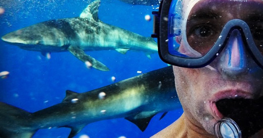 Hawaii Shark Cage Diving
