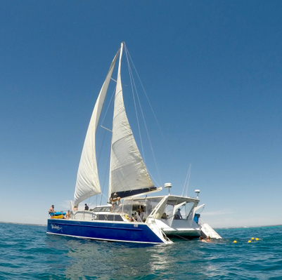 catamaran-sail-ride-discount