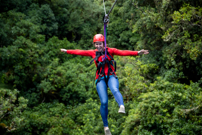 Rotorua Ziplining Forest Adventure - The Original Canopy Tour