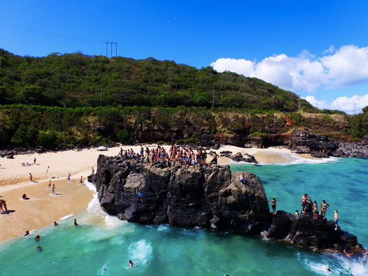 North Shore & Oahu Sightseeing Tour Deals