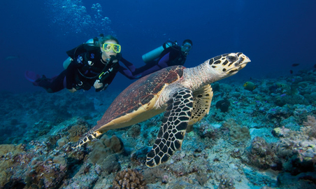 Solitary Islands - Discover Scuba Diving Experience