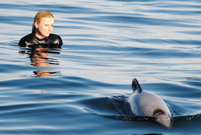 Akaroa Harbour Swim with Dolphins Cruise - 3 Hours