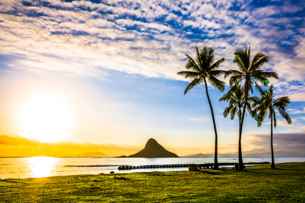 Oahu Island Tour With Snorkeling, Turtles, & Epic Surf Breaks Deals