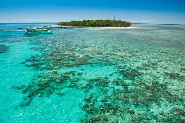 Green Island Reef Cruises Snorkelling Discounts