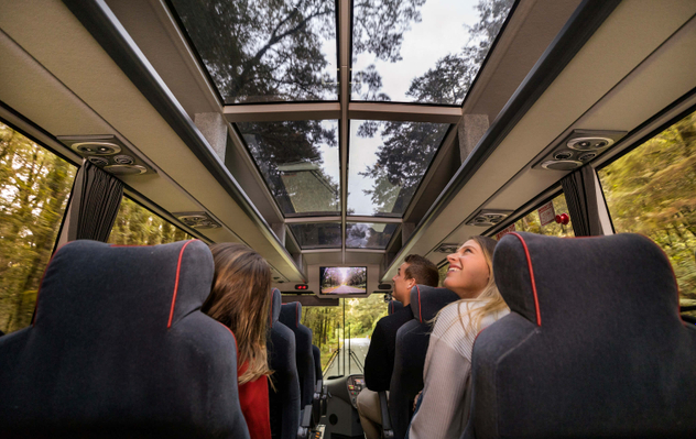 Milford-Sound-Coach-with-glass-roof-view-print.jpg