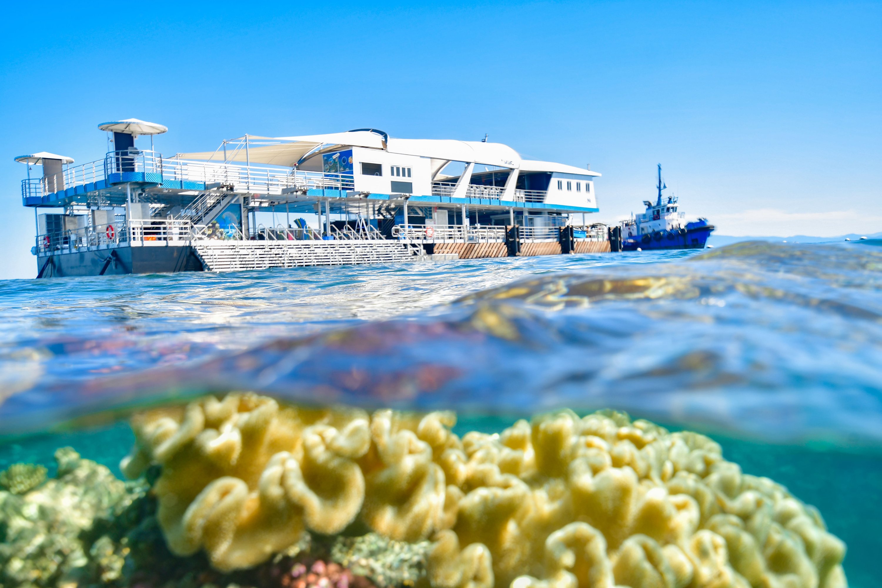 reef magic cruise cairns