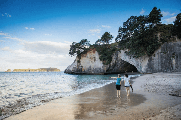 Cathedral Cove Scenic EDIT.jpg