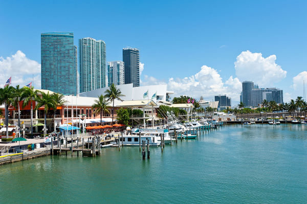 Miami Boat Cruise