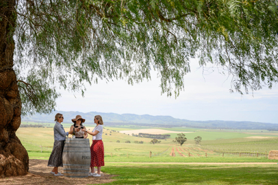 Barossa Valley Food And Wine Experience