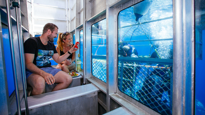 Port Lincoln shark cage diving tour coupon code