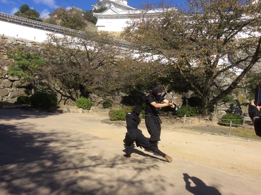 Himeji Ninja - Learn Ninja with a Professional Actor