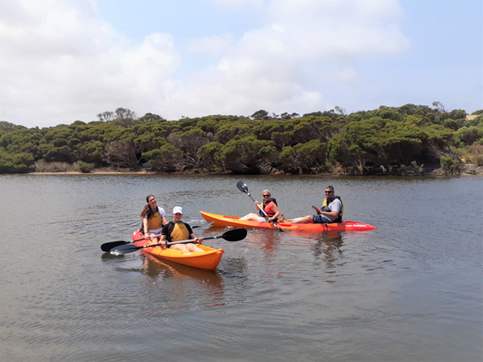 Kangaroo Island Guided Kayak Tour Deals